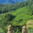 소나모나 이미지