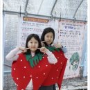 상하리농장 네이버블로그