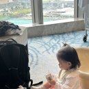 [아기랑 마카오] DAY3. 스튜디오시티푸드코트/ 포토데이/ 골든릴/ 북방관/ 시티투어버스