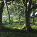 숲속이야기 이미지