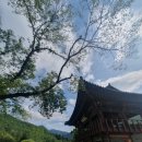 싱그러운청도로(여름) 이미지