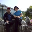 금산관광농원 Daum카페