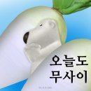 무사이 이미지