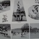 진목초등학교 이미지