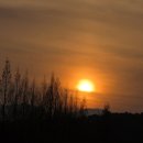 윗대이리 이미지