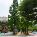 정관8로 이미지