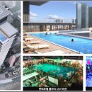 엘본 더 스테이 이미지