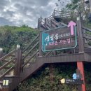 약산흑염소우두농장 | 전남남해안일주-4부생일도&amp;벌교