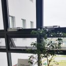 스튜디오 루아흐 3호점 / 장지 송파 렌탈스튜디오 겸 파티룸 후기