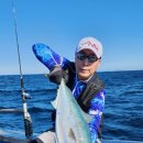 보스서비스 이미지