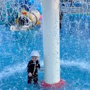 다전어린이집 | 울산 다전 물놀이장 다녀왔어요 (feat. 요금부터 정보 몽땅 정리해봤어요)