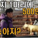 형민농장 이미지