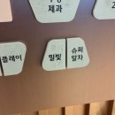 큰나무몰 | 서울 송파 | 밀빛 | 롯데월드몰 팝업스토어 (위치, 팝업 기간, 내돈내산 후기)