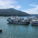 배식농장2 이미지