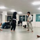 김해주짓수클럽 네이버블로그