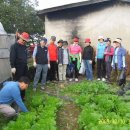 김성수농장 이미지