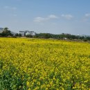 오조리사무소 이미지