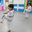 성웅태권도 이미지