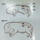 진성동물병원 이미지