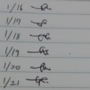 진가연 Daum카페