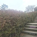 군포시문화예술회관(수리홀,철쭉홀) | 클라우드 마법학교 군포 뮤지컬 공연/철쭉동산 가을산책 하기 좋은곳 추천 방문 후기