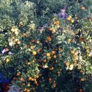 달콤 안경원 이미지