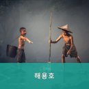 해용호