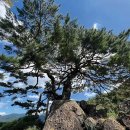 향수민박 이미지