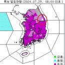 240730 "국회의원이 시간 많나"… 진종오 올림픽 해설에 '악플 테러' 이미지