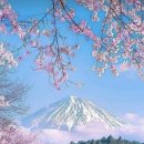 '대망(大望’) 이야기 이미지