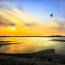 부강 행정사무소 이미지