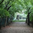 원대 수목원 이미지