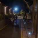 그해 바다 이미지