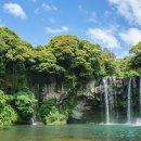 천지연폭포 이미지