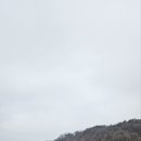 20250320신라cc 이미지