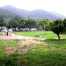 생림초등학교 | 산지니 야. 유. 회.
