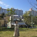 (주)엘제이코리아 | 요즘인기 예쁜옷 상의 여성옷 데일리룩 여성쇼핑몰 하이파이브 코리아