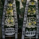 비슬초등학교 Daum카페