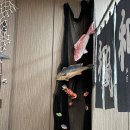 단골슈퍼마켙 이미지