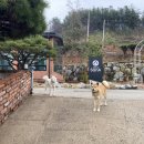 산아민박 이미지