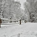 통큰엔설국 이미지