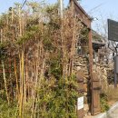 오봉산오리불고기