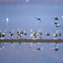 주남저수지 이미지