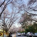 [군산 가볼만한 곳] 은파호수공원, 파스쿠찌, 광장해물왕파전