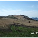 어룡목장 네이버블로그