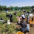 남은농장 이미지