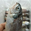 참조기집 이미지