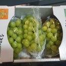 강남연세흉부외과의원 이미지