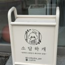 소담하개 이미지