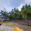 연곡사선 이미지